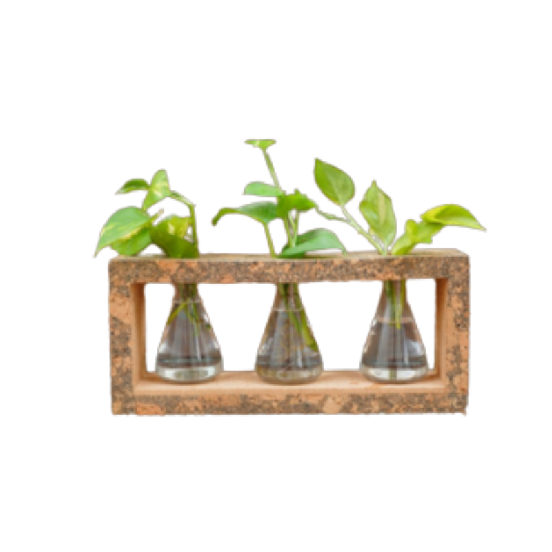 3 BEAKER PLANTER