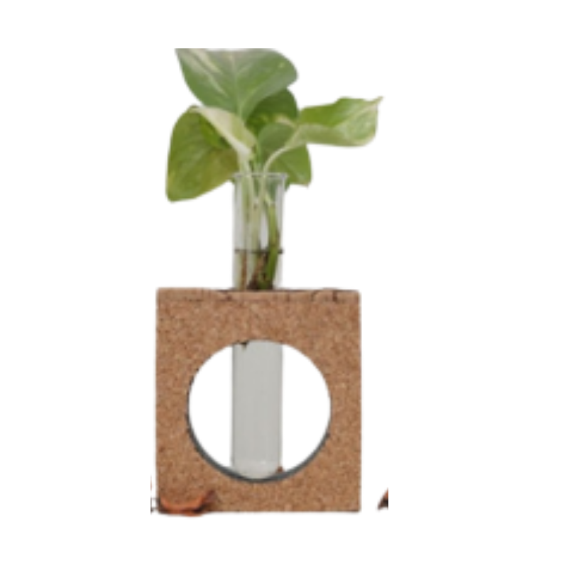 NATURAL PLANTER